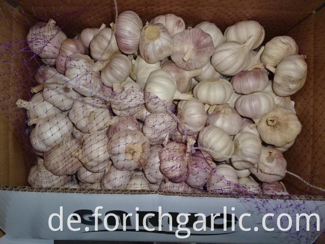 Beautiful New Garlic